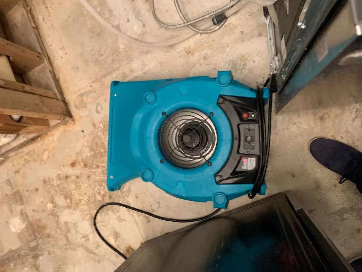 Air mover drying equipment for Mold Remediation & Removal in Oldsmar