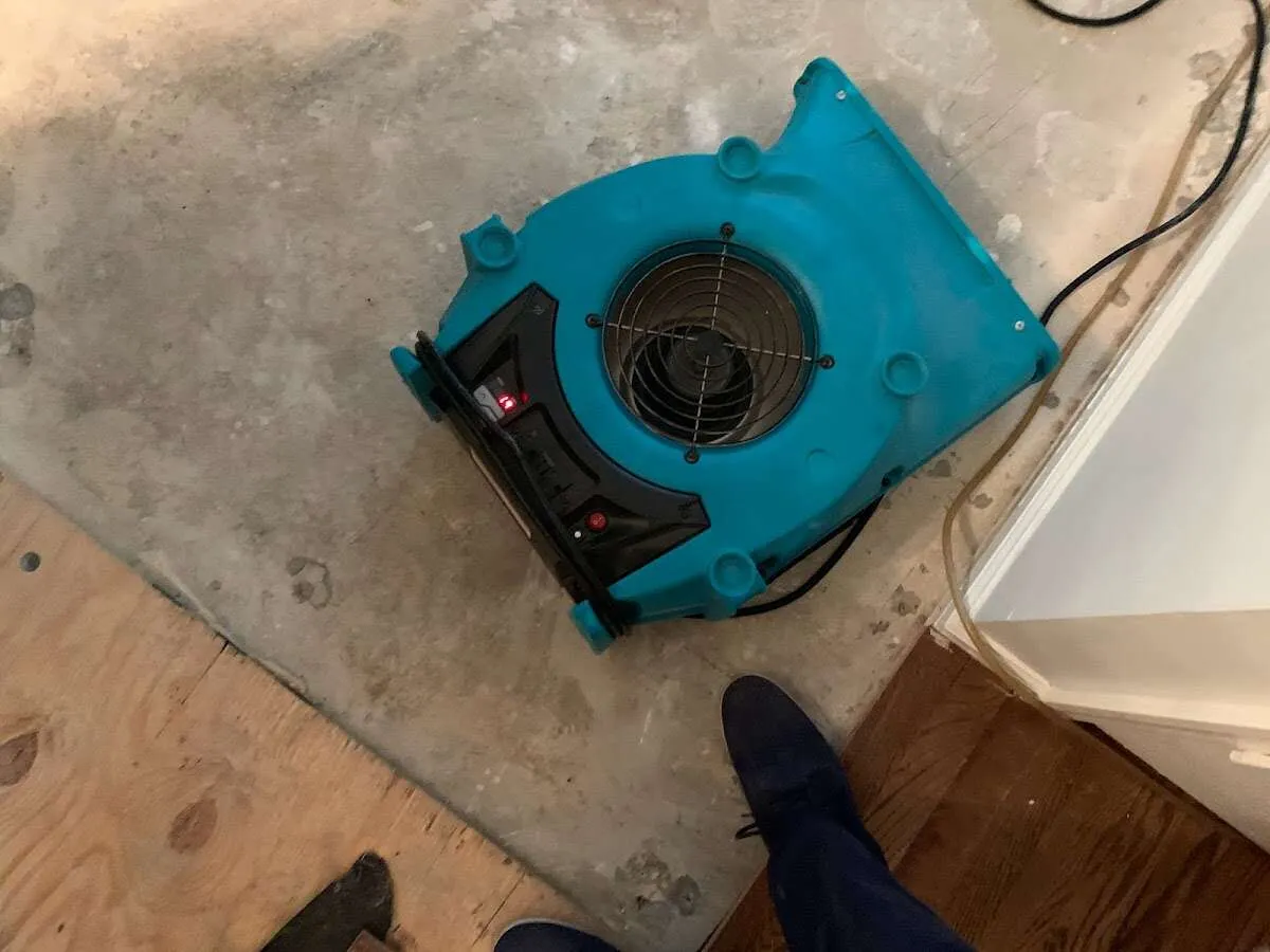 Air mover drying subfloor during Leak Detection & Repair in Oldsmar