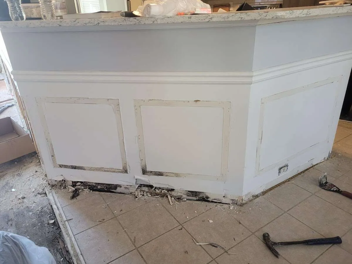 Water damage and mold on kitchen during Mold Inspection & Testing in Oldsmar